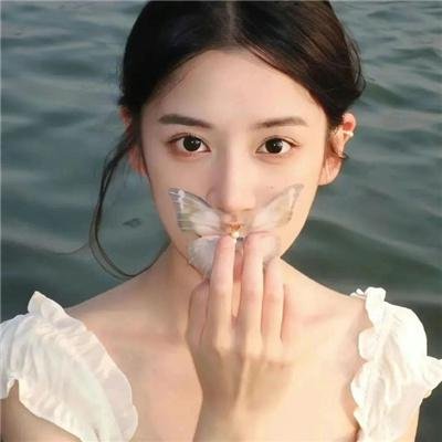 拜见宫主大人